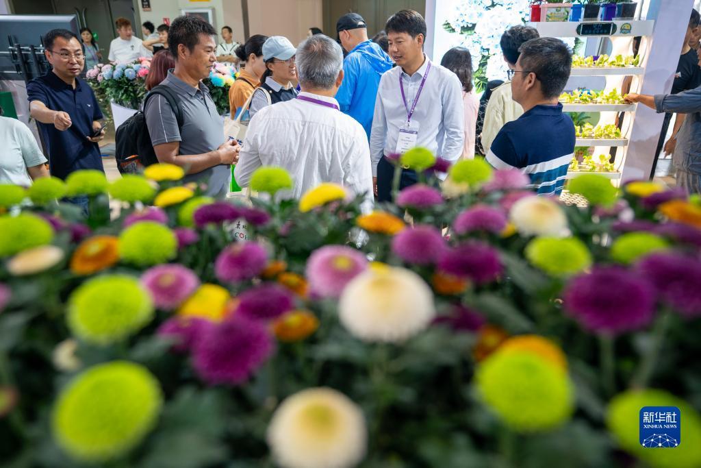 澳门威斯尼斯人50811